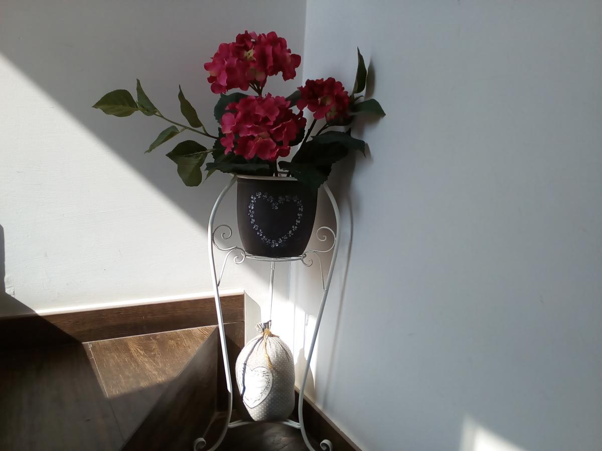 La Maison Del Borgo Antico Nocleg ze śniadaniem